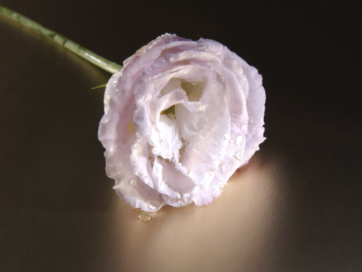427020 (a): :1600x1200